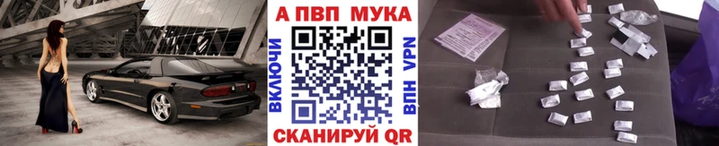 Alfa_PVP СК КРИС  Шацк 