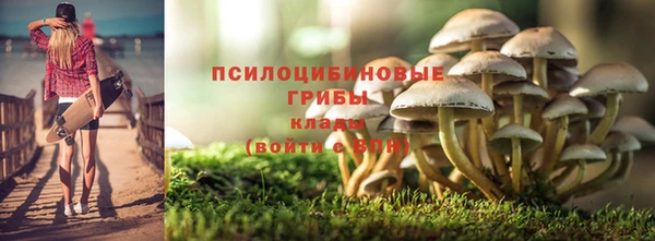 прущая мука Ладушкин
